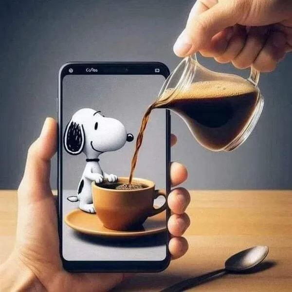 주소프리가 제공하는 최신 주소